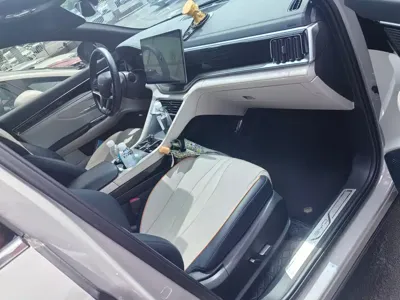 BYD PLUS New Energy 2024, 42000 км, за 17186.25 USD