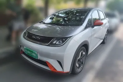 BYD Dolphin · 2021 год