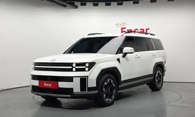 Hyundai Santafe · 2024 год