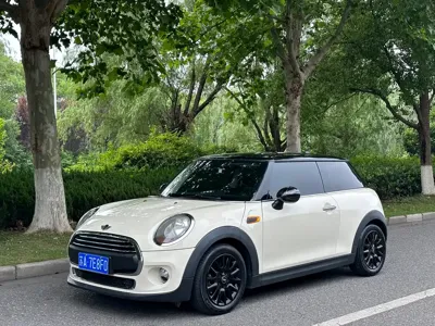MINI MINI · 2015 год