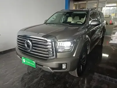 Great Wall Shanhaipao · 2023 год