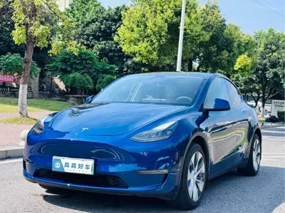 Tesla Model 3 · 2021 год