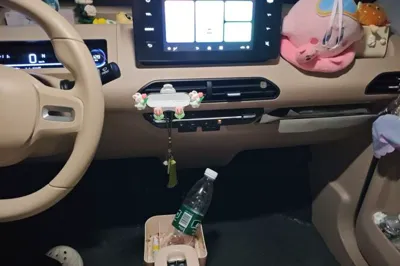 Geely Galaxy Panda