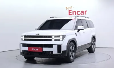 Hyundai Santafe · 2024 год