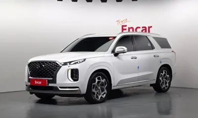 Hyundai Palisade · 2022 год