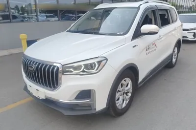SWM G05 · 2019 год