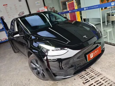 Tesla Model Y 2023, 36000 км, за 25007.47 USD