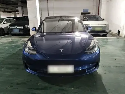 Tesla Model 3 2022, 110200 км, за 19187.24 USD