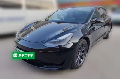 Tesla Model 3 · 2021 год