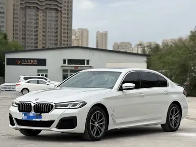 BMW 5 Series · 2022 год