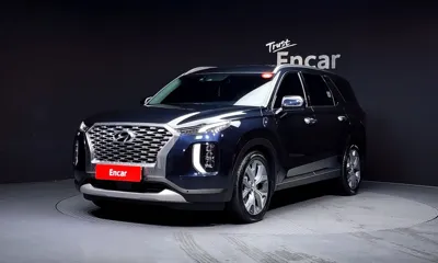 Hyundai Palisade · 2019 год