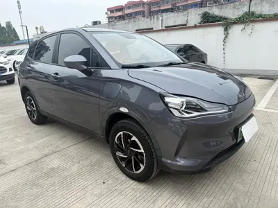 NETA Neta V 2021, 46000 км, за 4643.36 USD