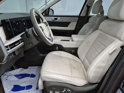 Hyundai Santafe 2024, 67086 км, за 21433.24 USD - фото 10
