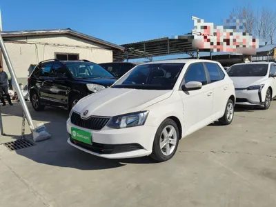 Skoda Fabia · 2017 год