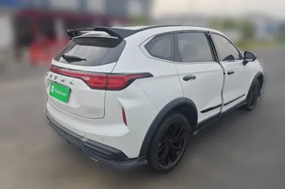 Haval LHERY 2021, 47200 км, за 6987 USD - фото 6
