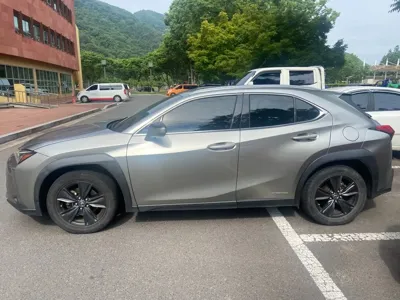 Lexus UX 2019, 146703 км, за 14873.09 USD