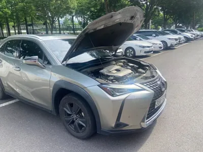 Lexus UX 2019, 146703 км, за 14873.09 USD