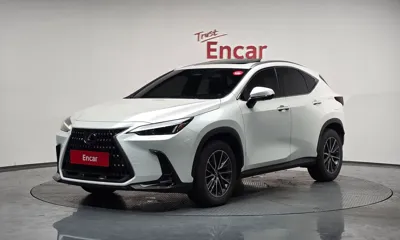 Lexus NX · 2025 год