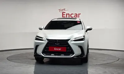 Lexus NX 2025, 20548 км, за 40993.34 USD
