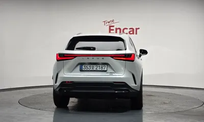 Lexus NX 2025, 20548 км, за 40993.34 USD