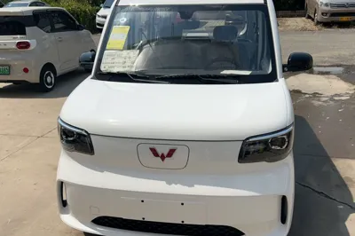 Wuling Zhiguang New Energy 2025, 100 км, за 9530 USD