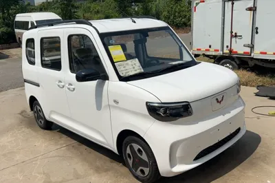 Wuling Zhiguang New Energy 2025, 100 км, за 9530 USD