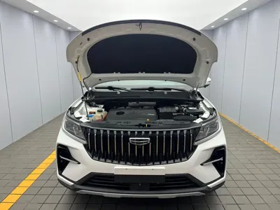 Geely Vision X6 2022, 36000 км, за 10594.75 USD - фото 19