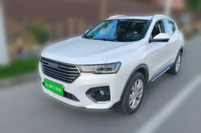 Haval H4 · 2019 год