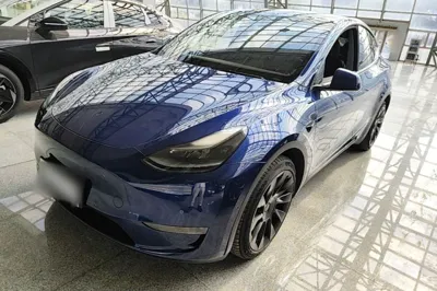 Tesla Model Y · 2021 год