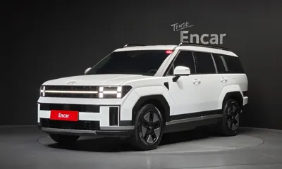 Hyundai Santafe · 2024 год