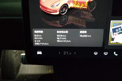 Tesla Model 3 2022, 78100 км, за 28015 USD - фото 11