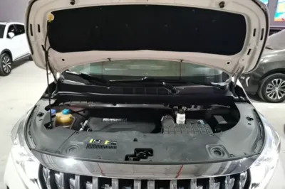 GAC Trumpchi M8 2021, 51300 км, за 19825 USD - фото 24