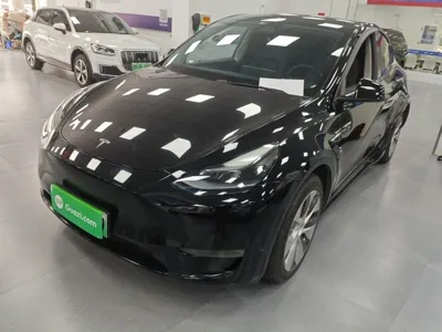 Tesla Model Y · 2021 год