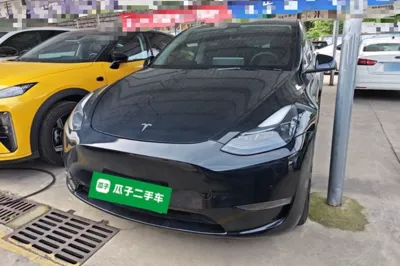 Tesla Model Y · 2021 год