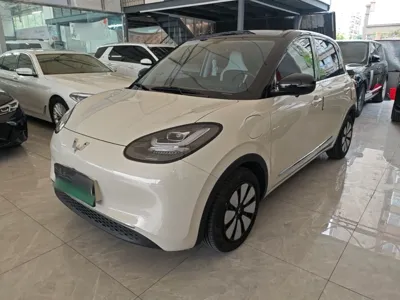 Wuling Bingo · 2024 год
