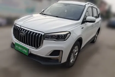 SWM G05 · 2019 год