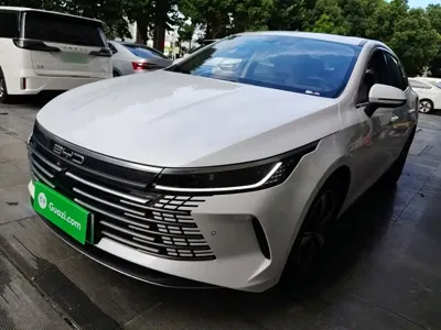 BYD Destroyer 05 2023, 54200 км, за 7407.32 USD