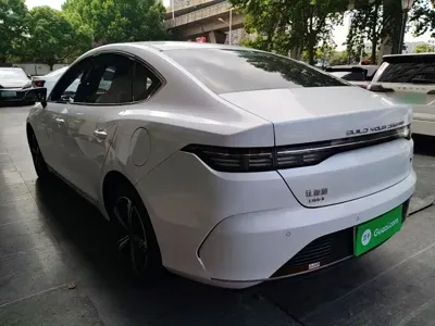 BYD Destroyer 05 2023, 54200 км, за 7407.32 USD