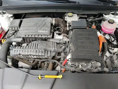 BYD Destroyer 05 2023, 54200 км, за 7407.32 USD - фото 20