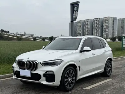 BMW X5 (Import) · 2019 год