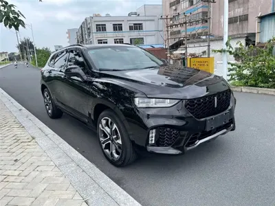 WEY Wey VV7 · 2019 год