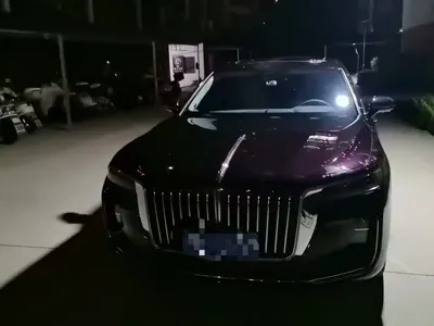 Hongqi Hongqi H9 · 2022 год