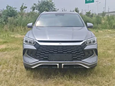 BYD Pro New Energy 2023, 29800 км, за 9093.41 USD