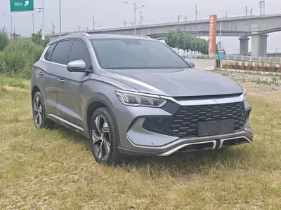 BYD Pro New Energy 2023, 29800 км, за 9093.41 USD