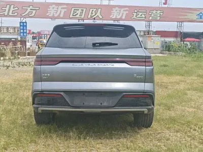 BYD Pro New Energy 2023, 29800 км, за 9093.41 USD