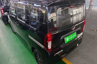 Wuling Zhiguang New Energy 2025, 100 км, за 8069 USD