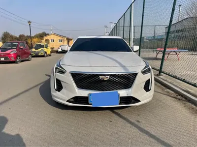 Cadillac CT6 2019, 93000 км, за 15563.47 USD