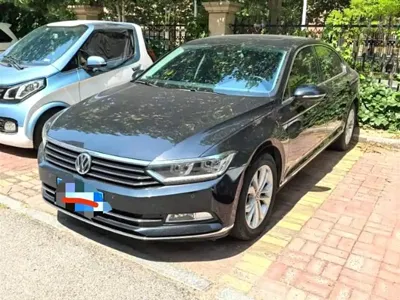 Volkswagen Magotan · 2019 год