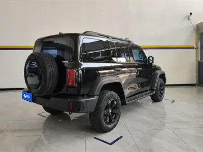Tank Tank 300 2023, 42000 км, за 24473.98 USD