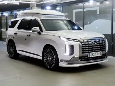 Hyundai Palisade · 2023 год